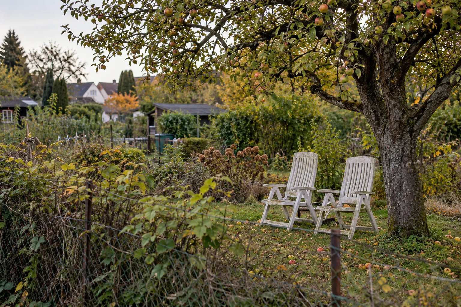 Zwei verwitterte Plastikstühle hinter einer Hecke.