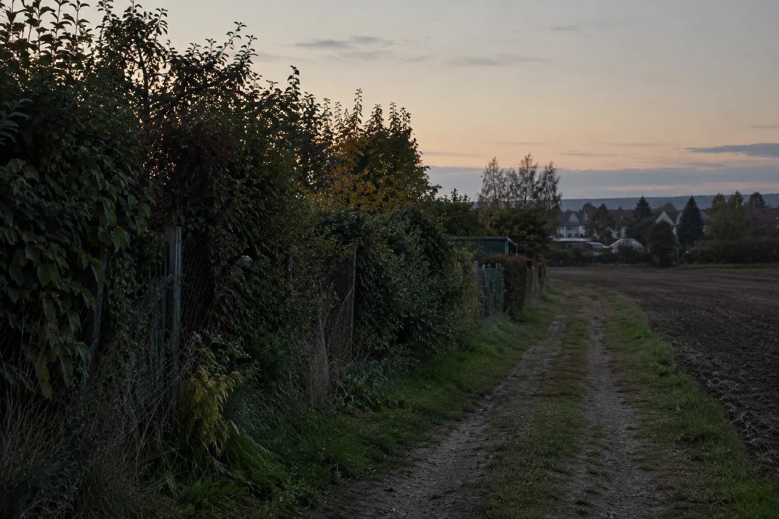Feldweg, dessen Hecke in der Dämmerung verschwindet.